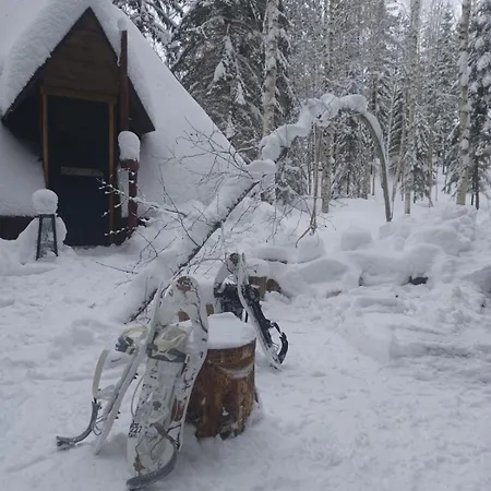 And Fishing Vonkale 別荘 Äänekoski