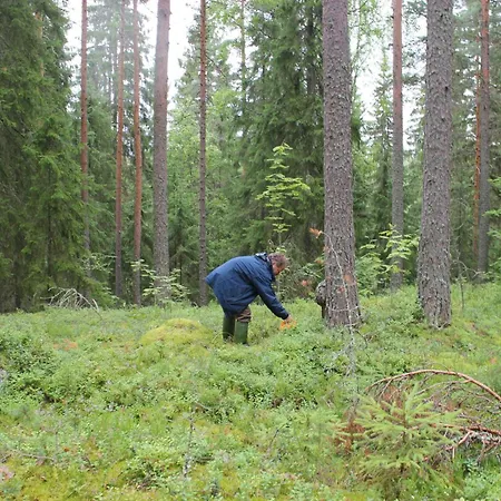 And Fishing Vonkale * Aanekoski