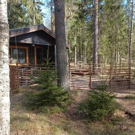 And Fishing Vonkale Dom wakacyjny