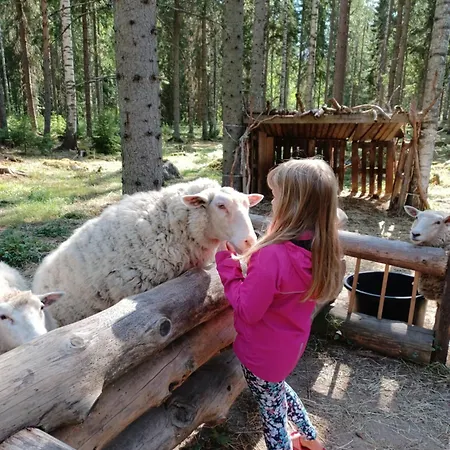 And Fishing Vonkale Dom wakacyjny *