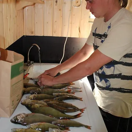 Holiday home And Fishing Vonkale Aanekoski