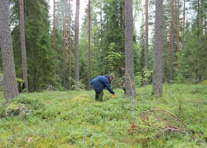 And Fishing Vonkale * Äänekoski